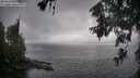 ./images/koeye/fitz-hugh/20260609/fitz-hugh20260609_103001M.jpg
