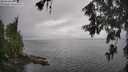 ./images/koeye/fitz-hugh/20260609/fitz-hugh20260609_103501M.jpg