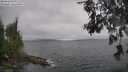 ./images/koeye/fitz-hugh/20260609/fitz-hugh20260609_111002M.jpg