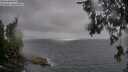 ./images/koeye/fitz-hugh/20260609/fitz-hugh20260609_111501M.jpg