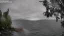 ./images/koeye/fitz-hugh/20260609/fitz-hugh20260609_112001M.jpg