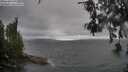 ./images/koeye/fitz-hugh/20260609/fitz-hugh20260609_112501M.jpg