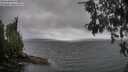 ./images/koeye/fitz-hugh/20260609/fitz-hugh20260609_113001M.jpg