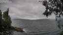 ./images/koeye/fitz-hugh/20260609/fitz-hugh20260609_113501M.jpg