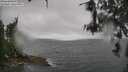 ./images/koeye/fitz-hugh/20260609/fitz-hugh20260609_114001M.jpg
