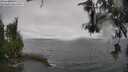 ./images/koeye/fitz-hugh/20260609/fitz-hugh20260609_114502M.jpg