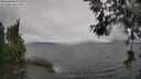 ./images/koeye/fitz-hugh/20260609/fitz-hugh20260609_115001M.jpg
