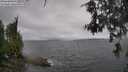 ./images/koeye/fitz-hugh/20260609/fitz-hugh20260609_121002M.jpg