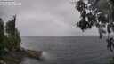 ./images/koeye/fitz-hugh/20260609/fitz-hugh20260609_124001M.jpg