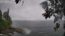 ./images/koeye/fitz-hugh/20260609/fitz-hugh20260609_132501M.jpg