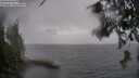 ./images/koeye/fitz-hugh/20260609/fitz-hugh20260609_134001M.jpg