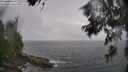 ./images/koeye/fitz-hugh/20260609/fitz-hugh20260609_134501M.jpg