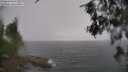 ./images/koeye/fitz-hugh/20260609/fitz-hugh20260609_143001M.jpg