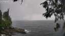 ./images/koeye/fitz-hugh/20260609/fitz-hugh20260609_144501M.jpg