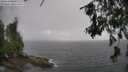 ./images/koeye/fitz-hugh/20260609/fitz-hugh20260609_145002M.jpg