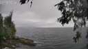 ./images/koeye/fitz-hugh/20260609/fitz-hugh20260609_145501M.jpg