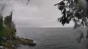 ./images/koeye/fitz-hugh/20260609/fitz-hugh20260609_150001M.jpg