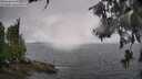 ./images/koeye/fitz-hugh/20260609/fitz-hugh20260609_152501M.jpg