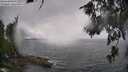 ./images/koeye/fitz-hugh/20260609/fitz-hugh20260609_153002M.jpg
