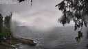 ./images/koeye/fitz-hugh/20260609/fitz-hugh20260609_153501M.jpg