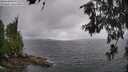 ./images/koeye/fitz-hugh/20260609/fitz-hugh20260609_161001M.jpg