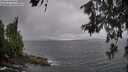 ./images/koeye/fitz-hugh/20260609/fitz-hugh20260609_162001M.jpg