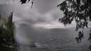 ./images/koeye/fitz-hugh/20260609/fitz-hugh20260609_164001M.jpg