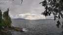 ./images/koeye/fitz-hugh/20260609/fitz-hugh20260609_171501M.jpg