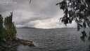 ./images/koeye/fitz-hugh/20260609/fitz-hugh20260609_173002M.jpg
