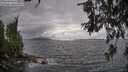 ./images/koeye/fitz-hugh/20260609/fitz-hugh20260609_181002M.jpg