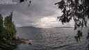 ./images/koeye/fitz-hugh/20260609/fitz-hugh20260609_182502M.jpg