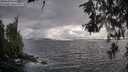 ./images/koeye/fitz-hugh/20260609/fitz-hugh20260609_184501M.jpg