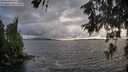 ./images/koeye/fitz-hugh/20260609/fitz-hugh20260609_194502M.jpg