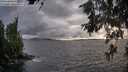 ./images/koeye/fitz-hugh/20260609/fitz-hugh20260609_195001M.jpg