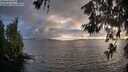 ./images/koeye/fitz-hugh/20260609/fitz-hugh20260609_204501M.jpg