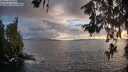 ./images/koeye/fitz-hugh/20260609/fitz-hugh20260609_205002M.jpg