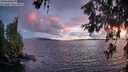 ./images/koeye/fitz-hugh/20260609/fitz-hugh20260609_213501M.jpg