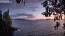 ./images/koeye/fitz-hugh/20260609/fitz-hugh20260609_222001M.jpg