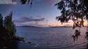 ./images/koeye/fitz-hugh/20260609/fitz-hugh20260609_222501M.jpg