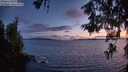 ./images/koeye/fitz-hugh/20260609/fitz-hugh20260609_223001M.jpg