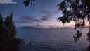 ./images/koeye/fitz-hugh/20260609/fitz-hugh20260609_223501M.jpg