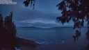./images/koeye/fitz-hugh/20260610/fitz-hugh20260610_042001M.jpg