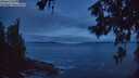 ./images/koeye/fitz-hugh/20260610/fitz-hugh20260610_042501M.jpg
