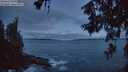 ./images/koeye/fitz-hugh/20260610/fitz-hugh20260610_043001M.jpg