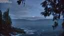 ./images/koeye/fitz-hugh/20260610/fitz-hugh20260610_043501M.jpg