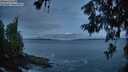 ./images/koeye/fitz-hugh/20260610/fitz-hugh20260610_044002M.jpg