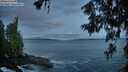 ./images/koeye/fitz-hugh/20260610/fitz-hugh20260610_044501M.jpg