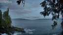 ./images/koeye/fitz-hugh/20260610/fitz-hugh20260610_045001M.jpg