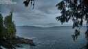 ./images/koeye/fitz-hugh/20260610/fitz-hugh20260610_045502M.jpg
