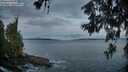 ./images/koeye/fitz-hugh/20260610/fitz-hugh20260610_050002M.jpg